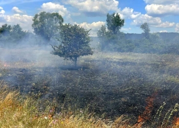 18 incendii în doar două zile, în judeţul Timiş! 30 de hectare de teren, afectate