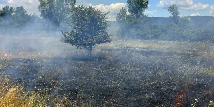 18 incendii în doar două zile, în judeţul Timiş! 30 de hectare de teren, afectate