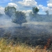 18 incendii în doar două zile, în judeţul Timiş! 30 de hectare de teren, afectate