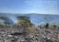 Incendiu puternic într-un parc natural din Banat! Au fost trimise două elicoptere Black Hawk