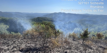 Incendiu puternic într-un parc natural din Banat! Au fost trimise două elicoptere Black Hawk