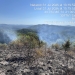 Incendiu puternic într-un parc natural din Banat! Au fost trimise două elicoptere Black Hawk