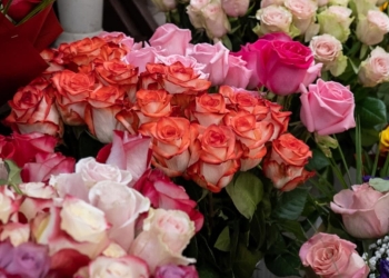 Piețele din Timișoara, pline de culoare datorită bogatei oferte de flori FOTO