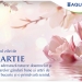 Mesaj de 8 Martie din partea societăţii de apă şi canalizare a Timişoarei