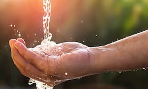 Canicula pune presiune pe reţeaua de apă din judeţul Timiş