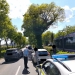 Sute de pietoni amendaţi la Timişoara pentru că au traversat pe culoarea roşie sau prin locuri nepermise