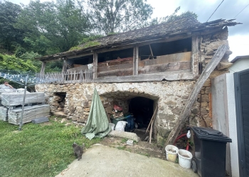 O comoară din Banatul Montan, salvată de la dispariție. O casă veche de două secole din Gârliște va fi strămutată la Muzeul Satului Bănățean