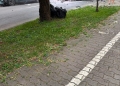 Accident cu trei mașini în Timișoara. Un bărbat, rănit