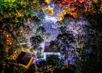 Ultimul weekend din vară se trăiește în Pădurea Verde din Timişoara! Are loc CODRU Festival