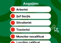 Horticultura angajează. Sunt disponibile 6 posturi