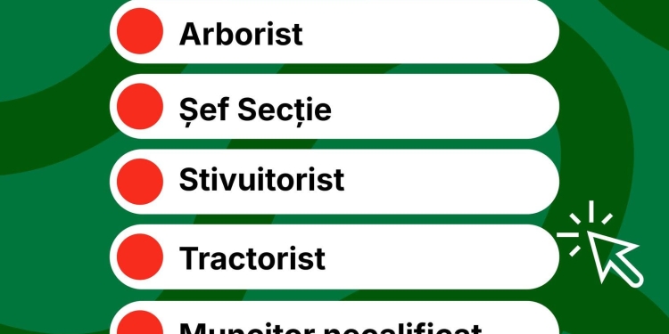 Horticultura angajează. Sunt disponibile 6 posturi