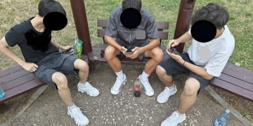 Peste 350 de amenzi pentru nereguli în parcurile din Timişoara: coji de seminţe pe jos, câini fără lesă şi parcări pe spaţii verzi