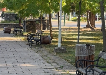 Coșurile de gunoi din Parcul Central din Timișoara, vandalizate în timpul nopții