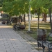 Coșurile de gunoi din Parcul Central din Timișoara, vandalizate în timpul nopții