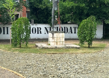 Au început lucrările de reabilitare a parcului de la Monumentul Învingătorului din Timișoara