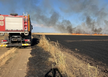 230 de hectare de teren din Timiş, afectate de arderi necontrolate