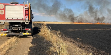 230 de hectare de teren din Timiş, afectate de arderi necontrolate