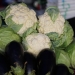 Legume şi fructe proaspete pentru mesele pregătite acasă, în pieţele din Timişoara FOTO