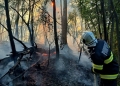 Numeroase incendii în Timiş din cauza arderilor necontrolate! Suprafaţa afectată depăşeşte 260 de hectare