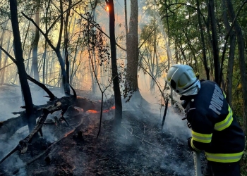 Numeroase incendii în Timiş din cauza arderilor necontrolate! Suprafaţa afectată depăşeşte 260 de hectare
