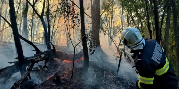 Numeroase incendii în Timiş din cauza arderilor necontrolate! Suprafaţa afectată depăşeşte 260 de hectare