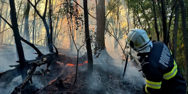 Numeroase incendii în Timiş din cauza arderilor necontrolate! Suprafaţa afectată depăşeşte 260 de hectare