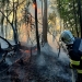 Numeroase incendii în Timiş din cauza arderilor necontrolate! Suprafaţa afectată depăşeşte 260 de hectare