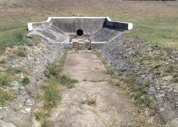 „Delta Banatului” moare sub ochii noștri. Rezervația de la Satchinez, aproape complet uscată