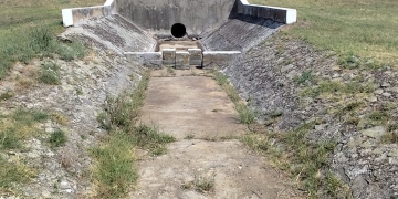 „Delta Banatului” moare sub ochii noștri. Rezervația de la Satchinez, aproape complet uscată