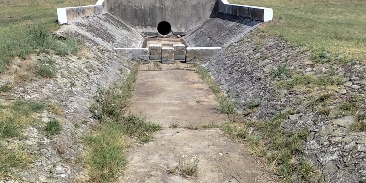 „Delta Banatului” moare sub ochii noștri. Rezervația de la Satchinez, aproape complet uscată