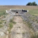 „Delta Banatului” moare sub ochii noștri. Rezervația de la Satchinez, aproape complet uscată