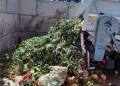 Aproape 3 tone de biodeșeuri colectate într-o singură zi și transformate în energie verde, la Timișoara