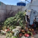 Aproape 3 tone de biodeșeuri colectate într-o singură zi și transformate în energie verde, la Timișoara