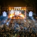 Programul complet la CODRU6! Gipsy Kings, S.A.R.S., Subcarpați și o imensă galerie de artă în Pădurea Verde din Timișoara