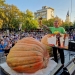 Festivalul Dovleacului revine la Kikinda! Dragana Mirković și Goca Tržan, invitaţi speciali