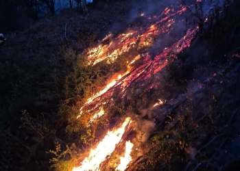 Numeroase incendii de vegetaţie uscată în zona Făgetului! Suprafaţa afectată depăşeşte 300 de hectare