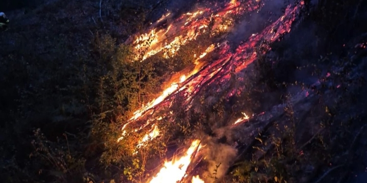 Numeroase incendii de vegetaţie uscată în zona Făgetului! Suprafaţa afectată depăşeşte 300 de hectare