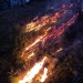 Numeroase incendii de vegetaţie uscată în zona Făgetului! Suprafaţa afectată depăşeşte 300 de hectare
