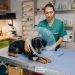 Peste 120 de animale sterilizate gratuit, la Timișoara