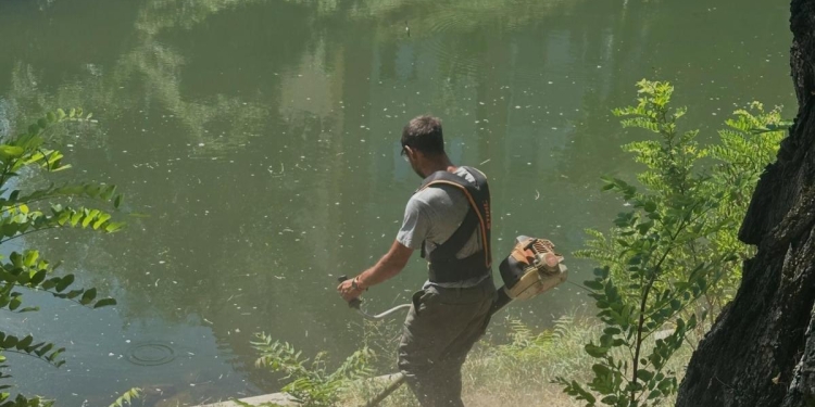 Au început lucrările de cosire a spațiilor verzi din zona centrală și de pe malul Begăi