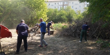 Teren public de 7.500 mp din Timișoara, eliberat pentru parcări