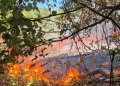 Weekend de foc în județul Timiș. Pompierii au intervenit la 18 incendii, iar vegetația și pădurile au fost pârjolite pe zeci de hectare