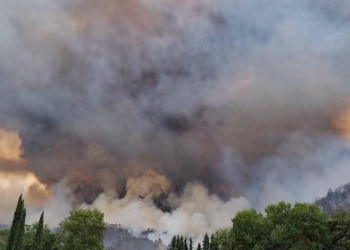 Peste 90 de intervenții ale pompierilor în 24 de ore, în Timiș