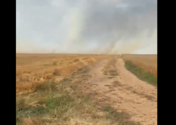 Incendii în culturile agricole din comuna Sânmihaiu Român