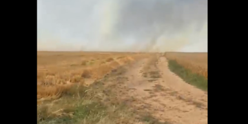 Incendii în culturile agricole din comuna Sânmihaiu Român