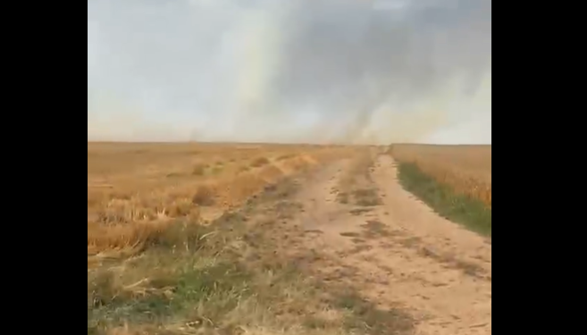 Incendii în culturile agricole din comuna Sânmihaiu Român