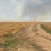 Incendii în culturile agricole din comuna Sânmihaiu Român