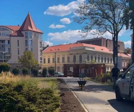 Parcul Botanic din Timișoara, modernizat cu mobilier nou și sistem de irigații