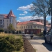 Parcul Botanic din Timișoara, modernizat cu mobilier nou și sistem de irigații
