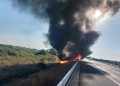 Incendiu uriaş pe autostrada A1, în judeţul Timiş! Un tir a luat foc FOTO
